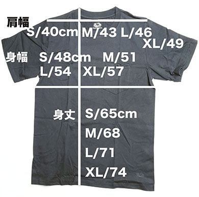 フルーツ　Tシャツサイズ表