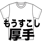 もうすこし厚手無地Ｔシャツ