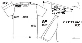 日本製無地Tシャツ厚手Vネックサイズ採寸表